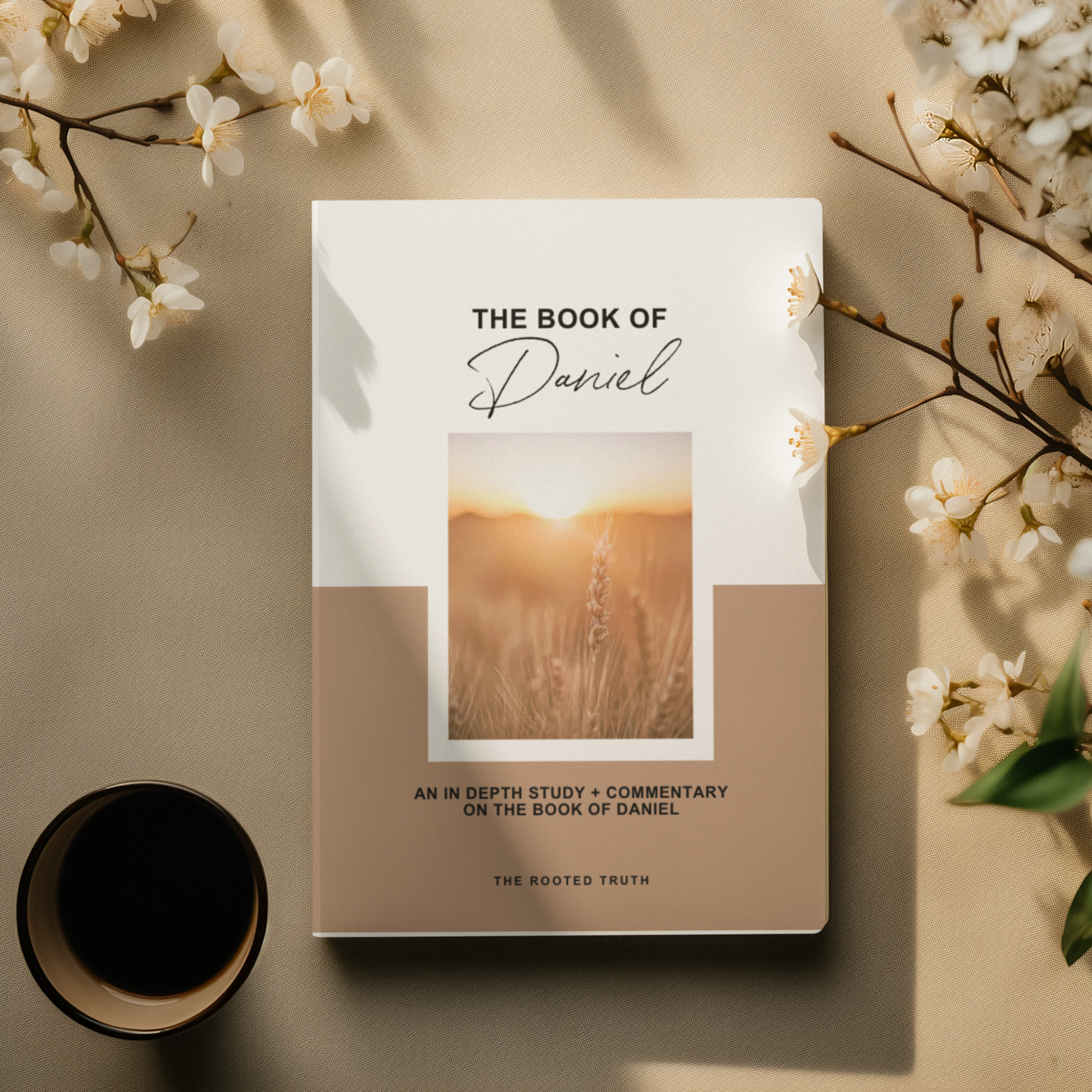 The Book of Daniel Commentary